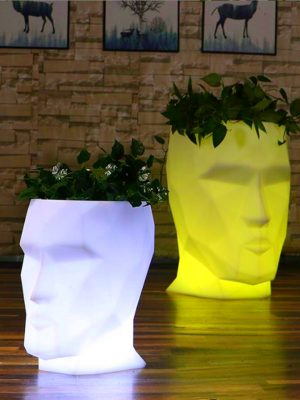 LED Flower Lights in Vase
