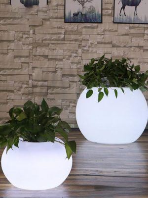 Light Flower Pot