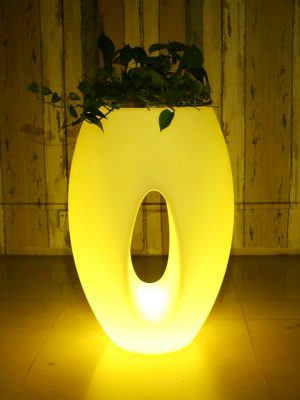 Light Up Vase