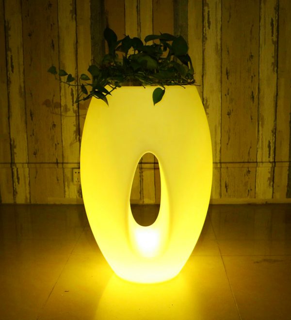 Light Up Vase
