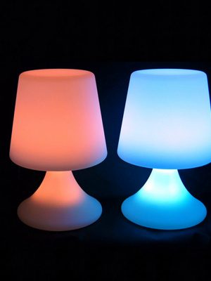 Portable LED Night Light