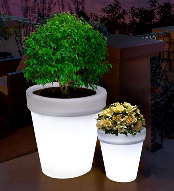 Flower Vase with Lights