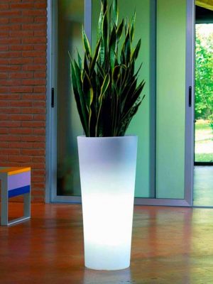 Illuminated Flower Pot