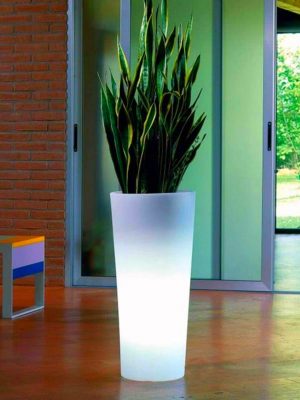 Light Up Flowers in Vase