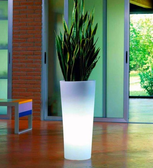 Light Up Flowers in Vase